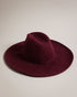 ABBIEA-Hats-Step out in style with ABBIEA. With a wide brim to shield you from the sun, this felt hat adds a fashionable finishing touch to your look. Felt hat Pure wool Leather trim with buckle T accented keeper loop Wide brim- Ted Baker Romania